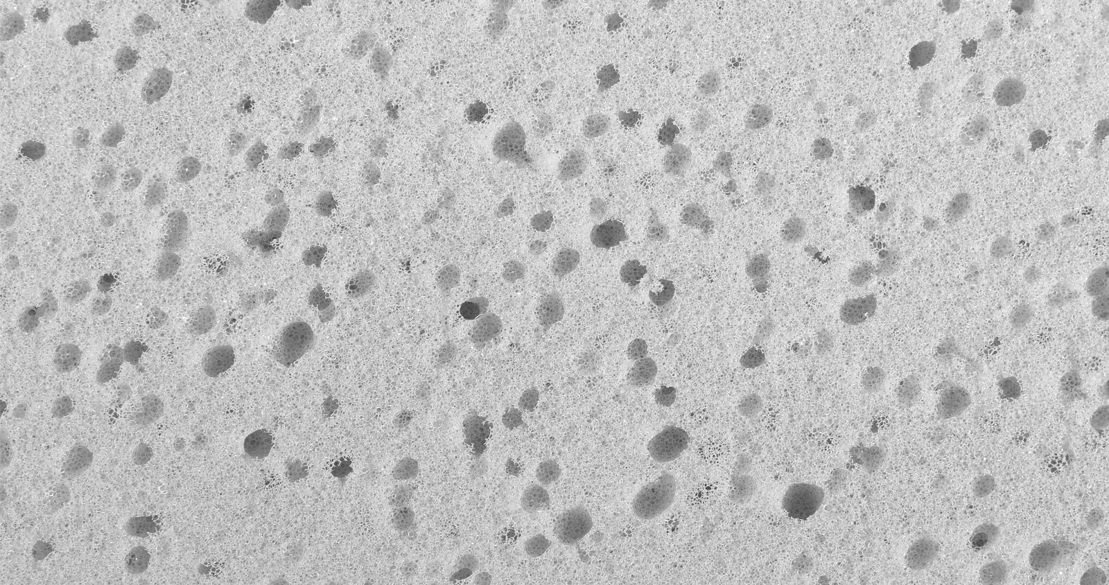 White Sponge texture