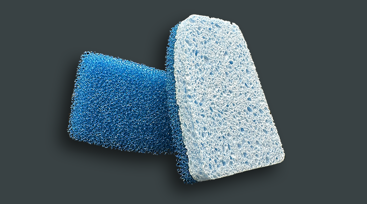 Blue Sponges