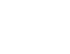 FXI logo